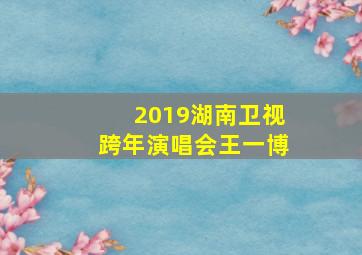 2019湖南卫视跨年演唱会王一博