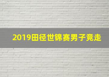 2019田径世锦赛男子竞走