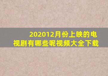 202012月份上映的电视剧有哪些呢视频大全下载