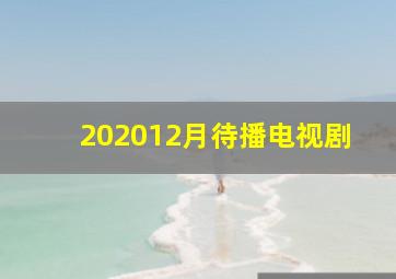 202012月待播电视剧