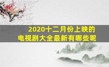 2020十二月份上映的电视剧大全最新有哪些呢