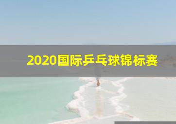 2020国际乒乓球锦标赛