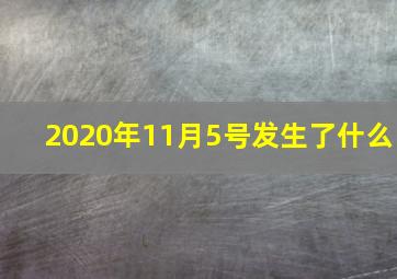 2020年11月5号发生了什么