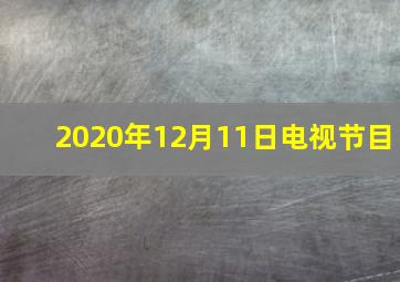 2020年12月11日电视节目