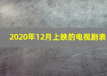 2020年12月上映的电视剧表