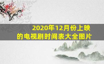 2020年12月份上映的电视剧时间表大全图片