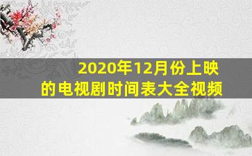 2020年12月份上映的电视剧时间表大全视频