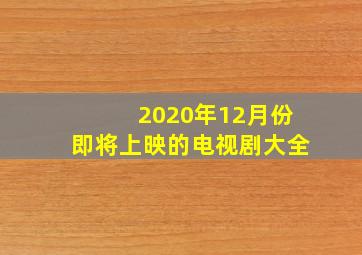 2020年12月份即将上映的电视剧大全