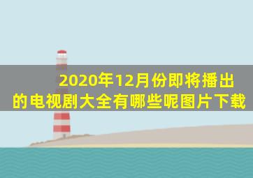 2020年12月份即将播出的电视剧大全有哪些呢图片下载