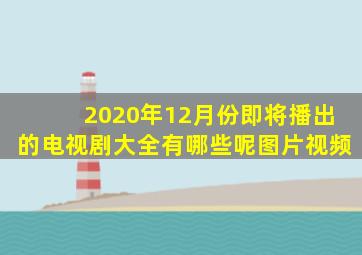 2020年12月份即将播出的电视剧大全有哪些呢图片视频