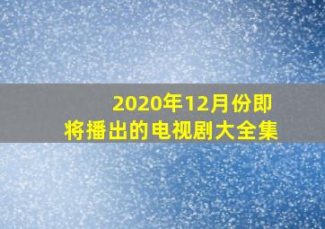 2020年12月份即将播出的电视剧大全集