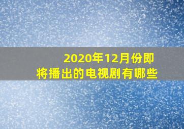 2020年12月份即将播出的电视剧有哪些