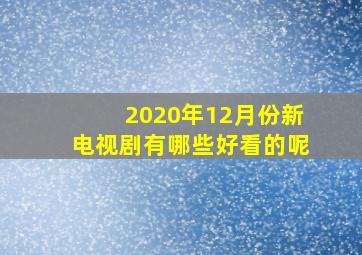 2020年12月份新电视剧有哪些好看的呢