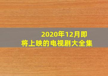 2020年12月即将上映的电视剧大全集