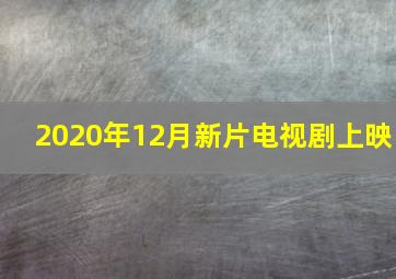 2020年12月新片电视剧上映