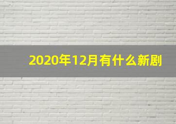 2020年12月有什么新剧