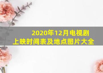 2020年12月电视剧上映时间表及地点图片大全