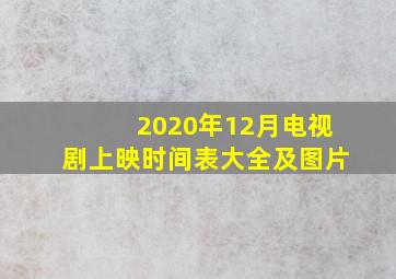 2020年12月电视剧上映时间表大全及图片