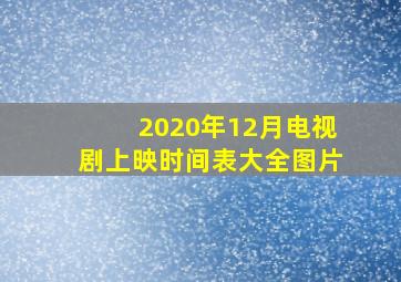 2020年12月电视剧上映时间表大全图片