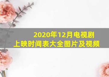 2020年12月电视剧上映时间表大全图片及视频