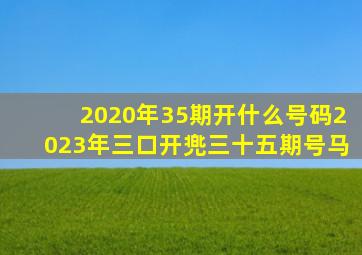 2020年35期开什么号码2023年三口开兠三十五期号马