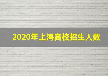 2020年上海高校招生人数