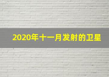 2020年十一月发射的卫星