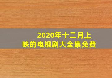 2020年十二月上映的电视剧大全集免费