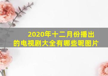 2020年十二月份播出的电视剧大全有哪些呢图片