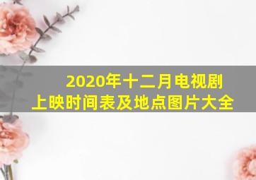 2020年十二月电视剧上映时间表及地点图片大全