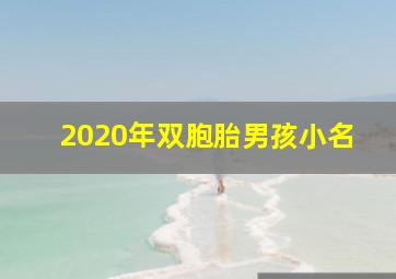 2020年双胞胎男孩小名