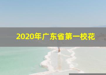 2020年广东省第一校花