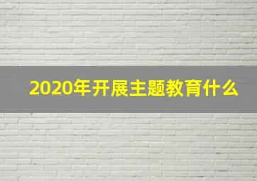 2020年开展主题教育什么