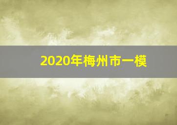 2020年梅州市一模