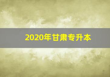 2020年甘肃专升本