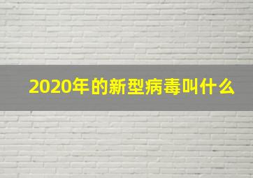 2020年的新型病毒叫什么