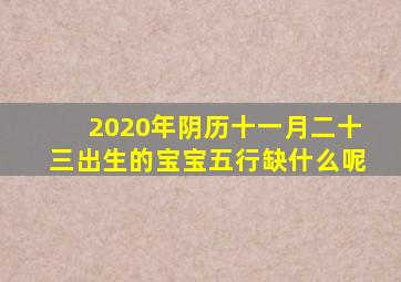 2020年阴历十一月二十三出生的宝宝五行缺什么呢