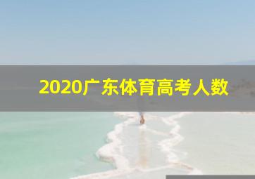 2020广东体育高考人数