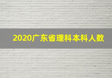 2020广东省理科本科人数