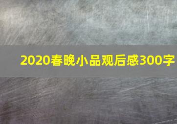 2020春晚小品观后感300字