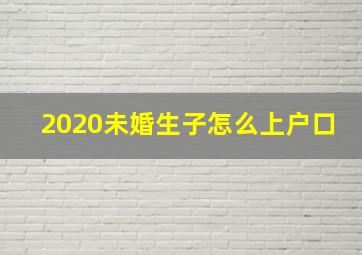 2020未婚生子怎么上户口