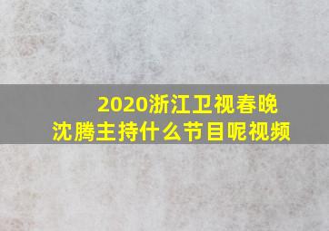 2020浙江卫视春晚沈腾主持什么节目呢视频