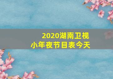 2020湖南卫视小年夜节目表今天