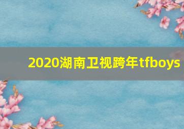 2020湖南卫视跨年tfboys