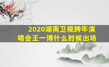 2020湖南卫视跨年演唱会王一博什么时候出场