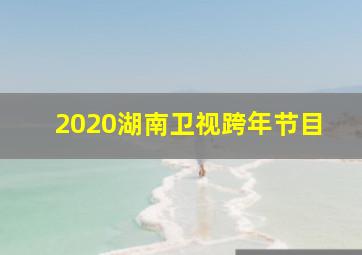 2020湖南卫视跨年节目