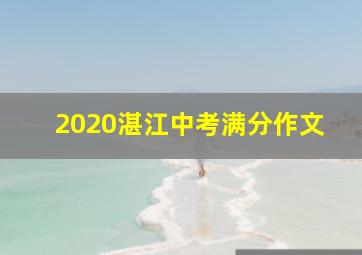 2020湛江中考满分作文