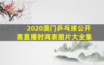 2020澳门乒乓球公开赛直播时间表图片大全集