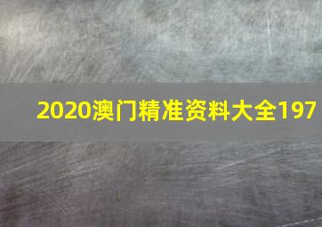 2020澳门精准资料大全197