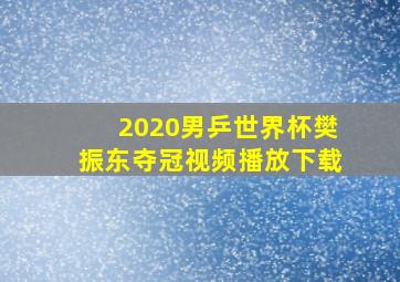 2020男乒世界杯樊振东夺冠视频播放下载